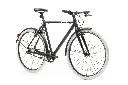 eddi-645-Bearbeitet (2).webp